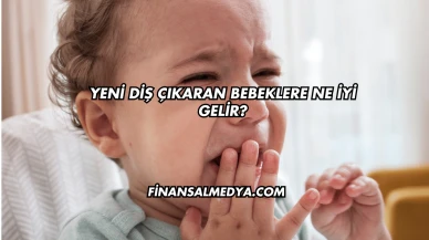 Yeni Diş Çıkaran Bebeklere Ne İyi Gelir?