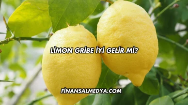 Limon Gribe İyi Gelir mi?