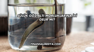 Sülük Göz Altı Morluklarına İyi Gelir mi?