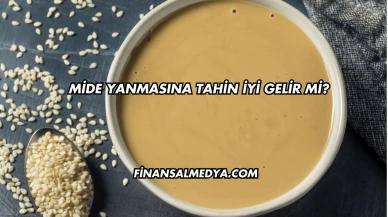 Mide Yanmasına Tahin İyi Gelir mi?