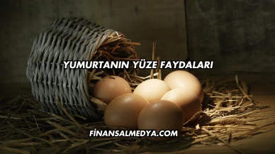 Yumurtanın Yüze Faydaları