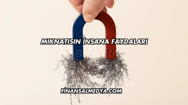Mıknatısın İnsana Faydaları