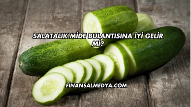 Salatalık Mide Bulantısına İyi Gelir mi?