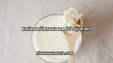Kefir Bağırsaklara İyi Gelir mi?