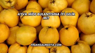 Ayva Mide Bulantısına İyi Gelir mi?