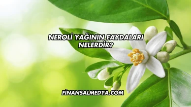Neroli Yağının Faydaları Nelerdir?