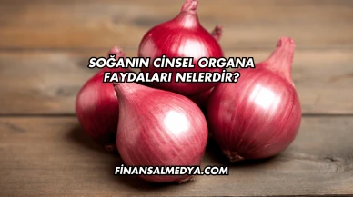 Soğanın Cinsel Organa Faydaları Nelerdir?
