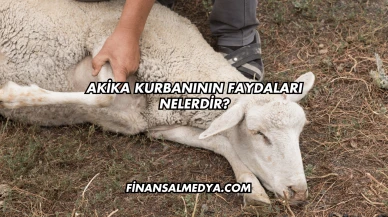 Akika Kurbanının Faydaları Nelerdir?