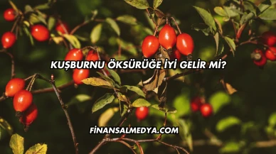 Kuşburnu Öksürüğe İyi Gelir mi?