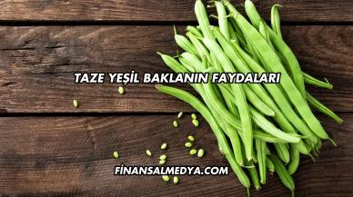 Taze Yeşil Baklanın Faydaları