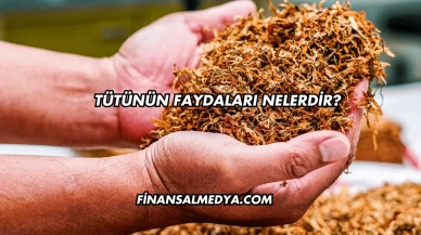 Tütünün Faydaları Nelerdir?
