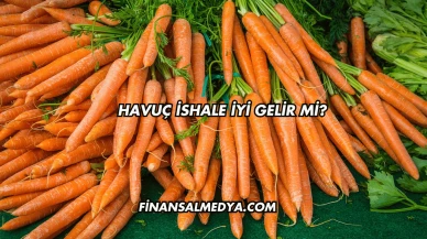 Havuç İshale İyi Gelir mi?
