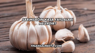 Sarımsağın Kaşa Faydaları Nelerdir?