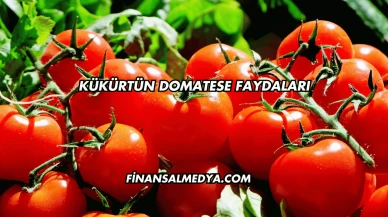 Kükürtün Domatese Faydaları