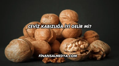 Ceviz Kabızlığa İyi Gelir mi?