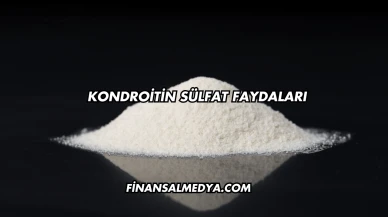 Kondroitin Sülfat Faydaları