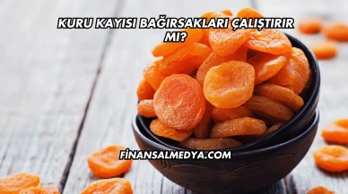 Kuru Kayısı Bağırsakları Çalıştırır mı?