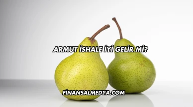 Armut İshale İyi Gelir mi?