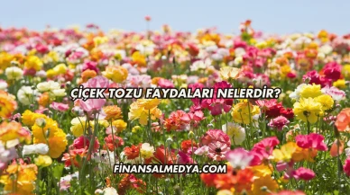 Çiçek Tozu Faydaları Nelerdir?