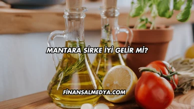 Mantara Sirke İyi Gelir mi?