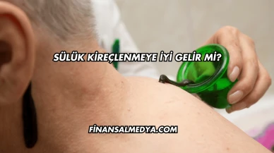 Sülük Kireçlenmeye İyi Gelir mi?