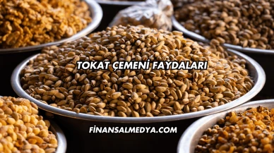Tokat Çemeni Faydaları