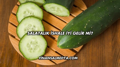 Salatalık İshale İyi Gelir mi?