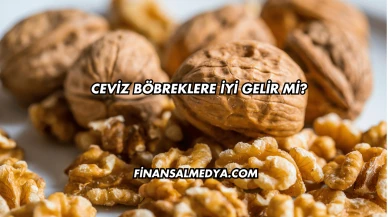 Ceviz Böbreklere İyi Gelir mi?