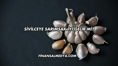 Sivilceye Sarımsak İyi Gelir mi?