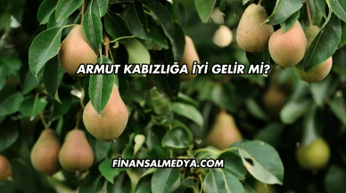 Armut Kabızlığa İyi Gelir mi?