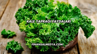 Kale Yaprağı Faydaları