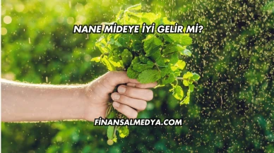 Nane Mideye İyi Gelir mi?