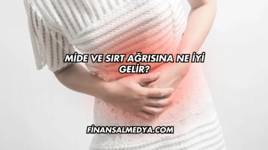 Mide ve Sırt Ağrısına Ne İyi Gelir?