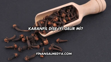 Karanfil Dişe İyi Gelir mi?