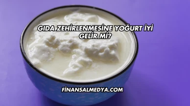 Gıda Zehirlenmesine Yoğurt İyi Gelir mi?