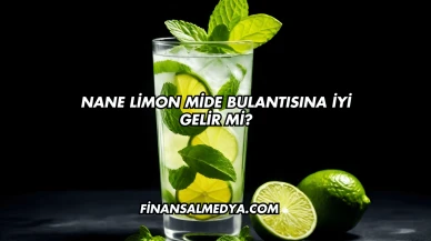 Nane Limon Mide Bulantısına İyi Gelir mi?