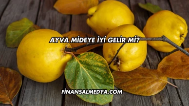 Ayva Mideye İyi Gelir mi?