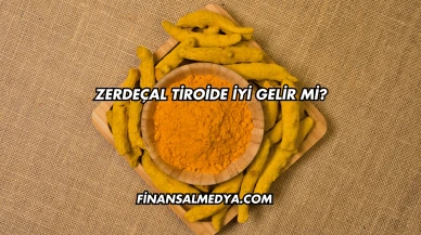 Zerdeçal Tiroide İyi Gelir mi?