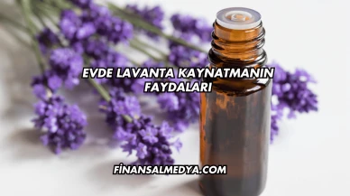 Evde Lavanta Kaynatmanın Faydaları