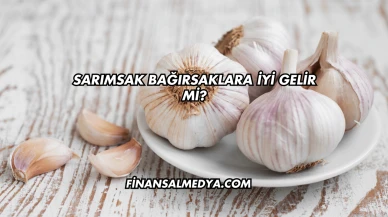 Sarımsak Bağırsaklara İyi Gelir mi?