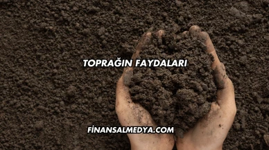 Toprağın Faydaları