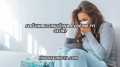 Soğuk Algınlığına Evde Ne İyi Gelir?