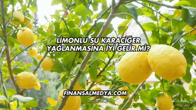 Limonlu Su Karaciğer Yağlanmasına İyi Gelir mi?