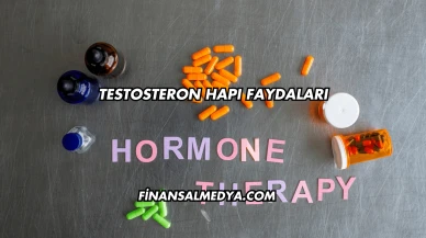 Testosteron Hapı Faydaları