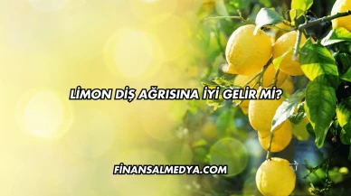Limon Diş Ağrısına İyi Gelir mi?