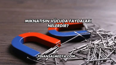 Mıknatısın Vücuda Faydaları Nelerdir?