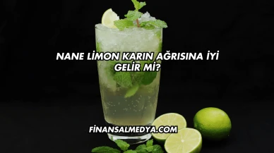 Nane Limon Karın Ağrısına İyi Gelir mi?