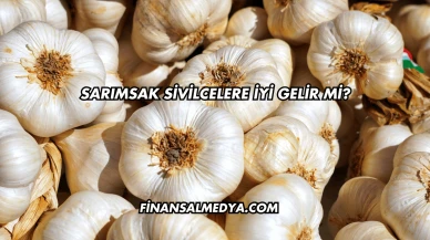 Sarımsak Sivilcelere İyi Gelir mi?