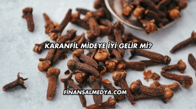 Karanfil Mideye İyi Gelir mi?