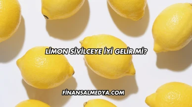 Limon Sivilceye İyi Gelir mi?